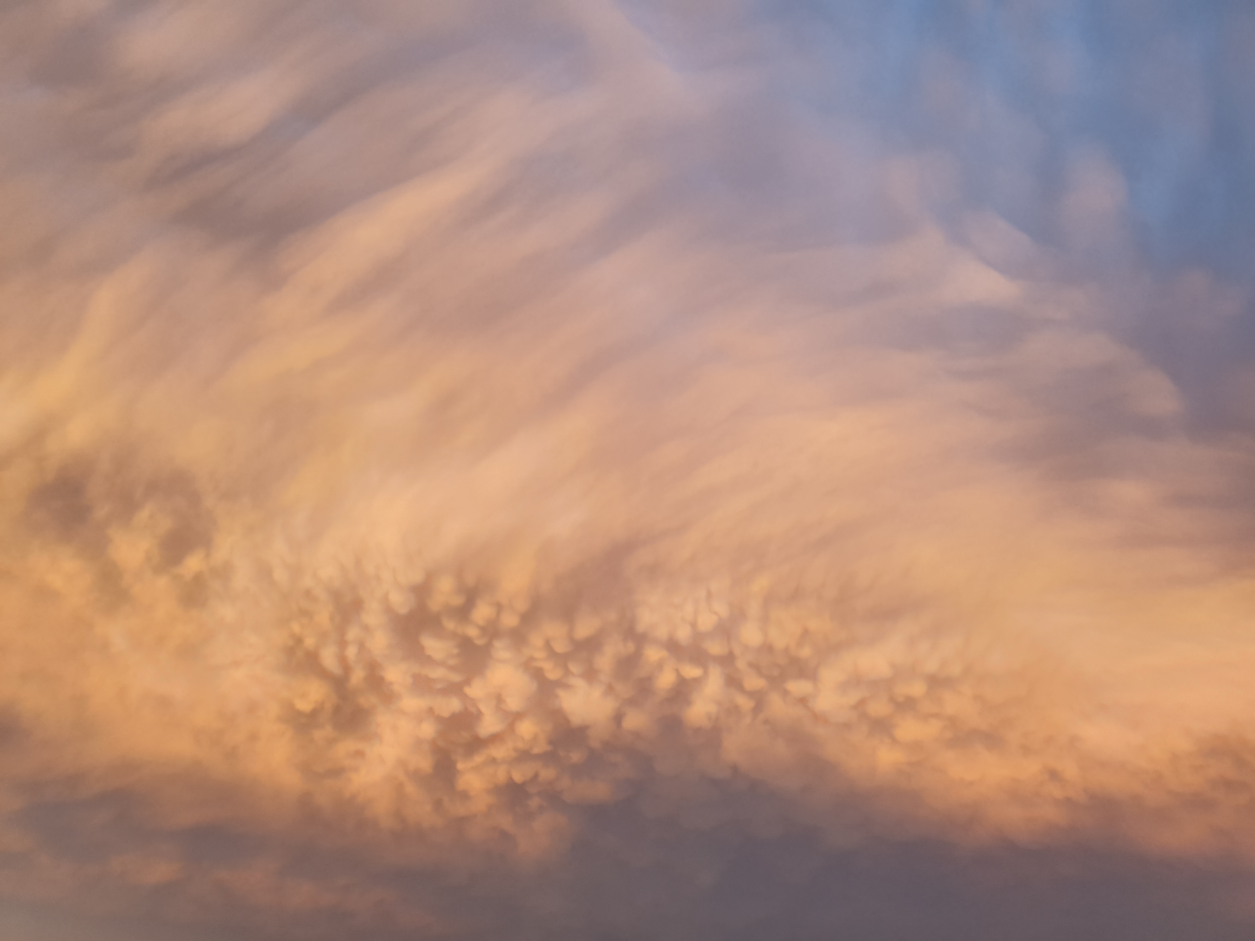 Nuage arborescent